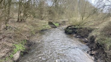 Sankey Canal & Sanky Brook (Newton Le Willows Affiliation)