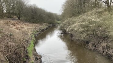 Sankey Canal & Sanky Brook (Newton Le Willows Affiliation)